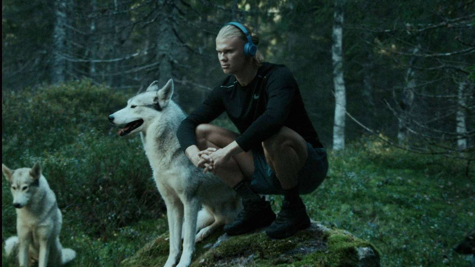 吸引了无数 吸引了无数